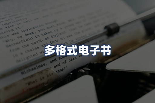 多格式电子书
